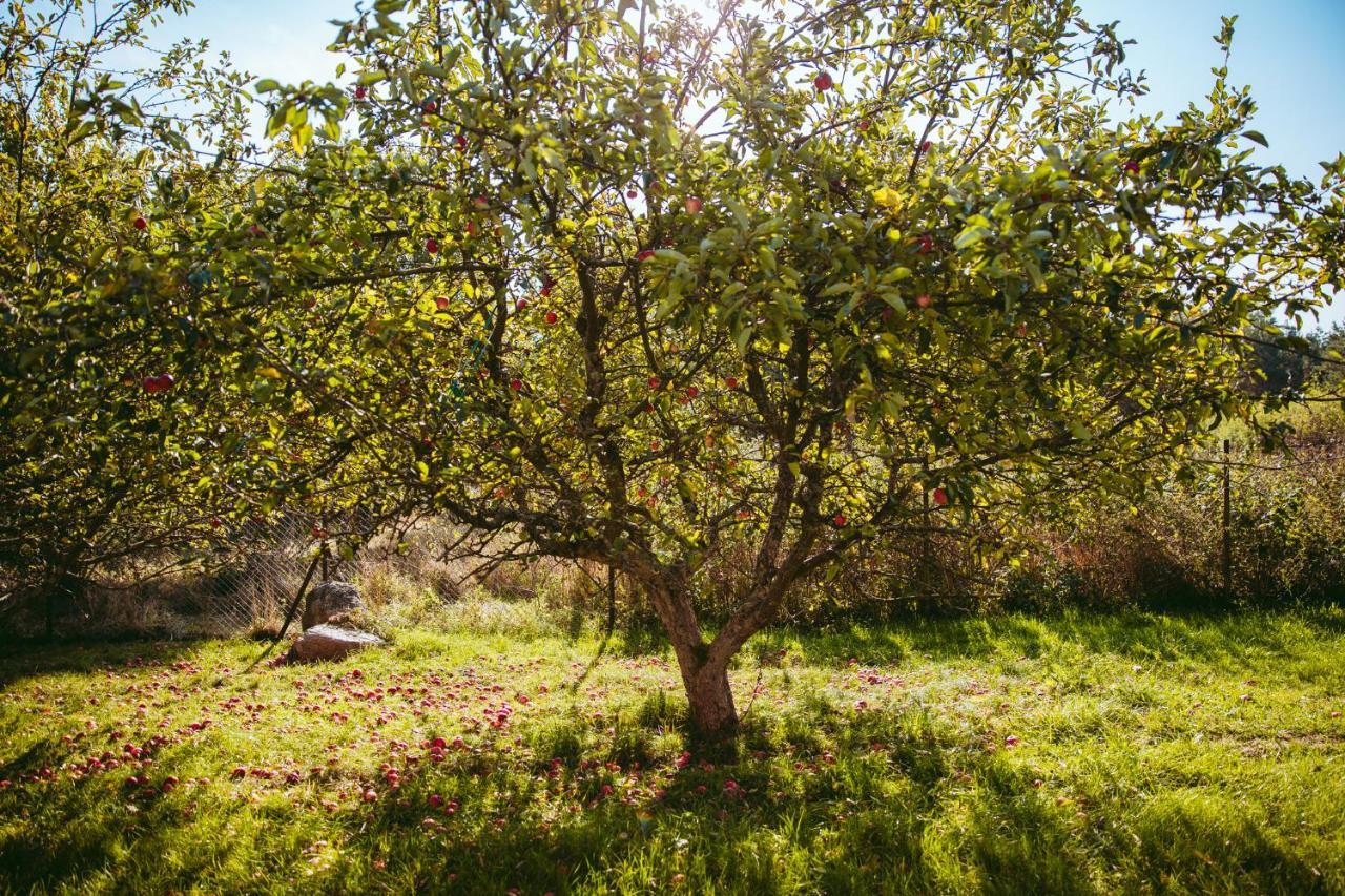 Appartamento Przystanek Kozia Gora Esterno foto