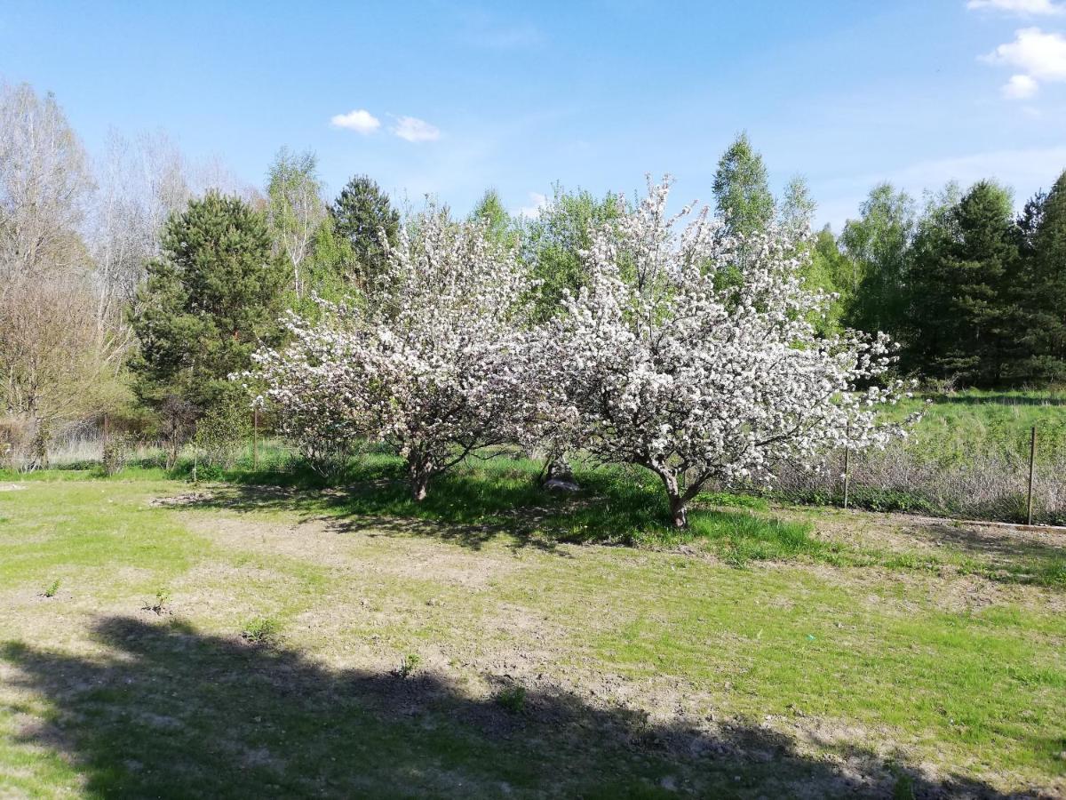 Appartamento Przystanek Kozia Gora Esterno foto